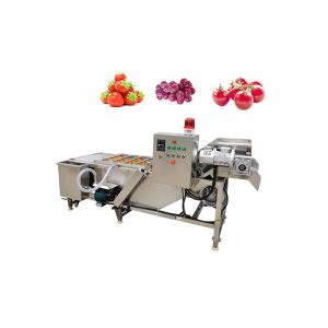 Portable 500kg/Hour Vegetable And Fruit Washing Machine