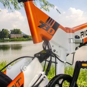 Portable 20 Inch Folding Electric Bike 48v Lithium Battery Top 730