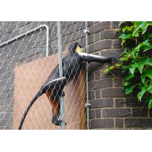 1*19 Or 7x19 Mesh Constructure Flexible Stainless Steel Zoo Fence Mesh For