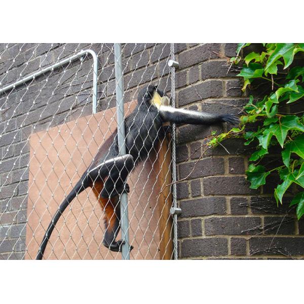 1*19 Or 7x19 Mesh Constructure Flexible Stainless Steel Zoo Fence Mesh For