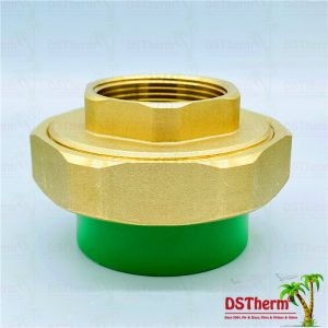 Brass Ppr Fittings Female Threaded Union Nickel Plated Heavier Customized 4'