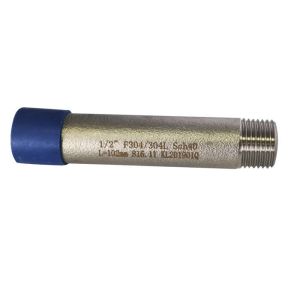 1/2" Welding DIN2999 Dnl200 Threaded Pipe Nipples