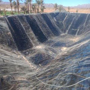 Fish Farm Pond Liner HDPE Geomembrane Roll Size for Effective Leakage Prevention