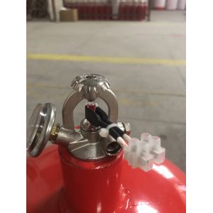 Self-Acting Suspended Fire System / FM200 Based Gas Suppression for Server