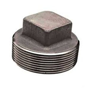 ASTM A182 F316L Round head NPT thread plug