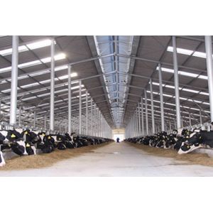 Easy Install Modern Cattle Shed , Prefabricated Metal Farm Barns