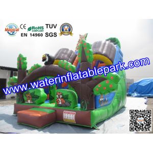 Custom Animal Inflatable Slide / Inflatable Dry Slide with Fire Resistant