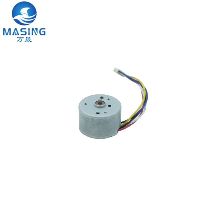 High Torque Brushless DC Motor 6V 9V 12V BLDC Motor Diameter 24mm Micro DC Motor