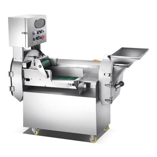 Double Head Automatic Vegetable Cutting Machine 200-1000kg/h 2700W