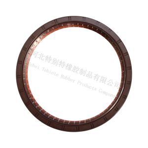 OEM WG9112340113 Rear Wheel Hub Oil Seal 190*220*30 For Sino Truck 2 Lips, Half