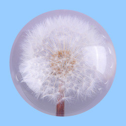 Artificial Transparent Paperweight , Clear Epoxy Resin Ball With Real Dry Flower