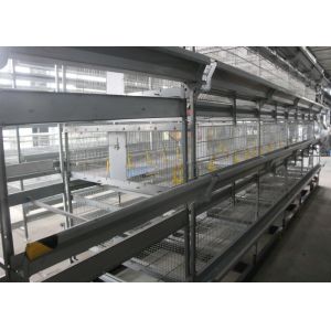 Professional Poultry Automation Equipment Low Noise For Chicken Shed