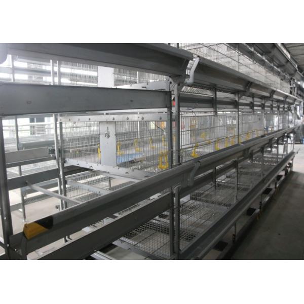 Quality Professional Poultry Automation Equipment Low Noise For Chicken Shed wholesale