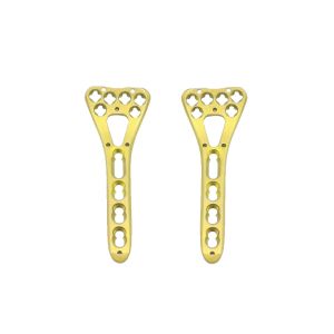 Trauma Multi Axial Palm Distal Radius Fracture Plate II