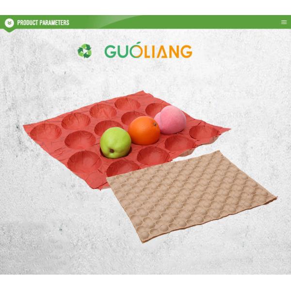Customized Kraft Paper Moulded Pulp Trays Disposable Fruit Packaging Tray for Apple and Avocado