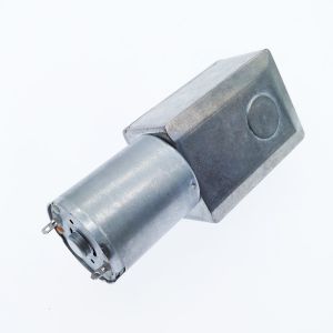 Faradyi Hot Sale Micro Mini 12v 24V Low Speed High Torque Dc Motor With Worm