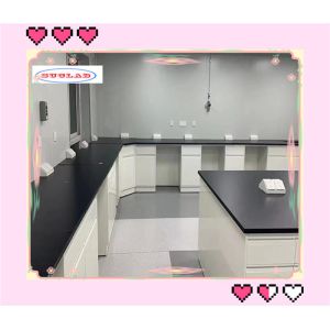 Cheap Free Standing Lab Benches Durable Reagent Racks With Adjustable Glass Shelf For Scientific Research for sale