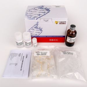 Cheap RNase-Free Spin Column General RNA Extraction Kit R1051 50 Preps for sale