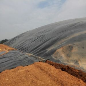 HDPE Geomembrane Dam Liner for Total Solution Projects Online Technical Support