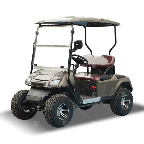 Quality Black color Mini Low Speed Vehicles Utility car 2 Seater Golf Cart with 4 Wheel Off Road tires wholesale