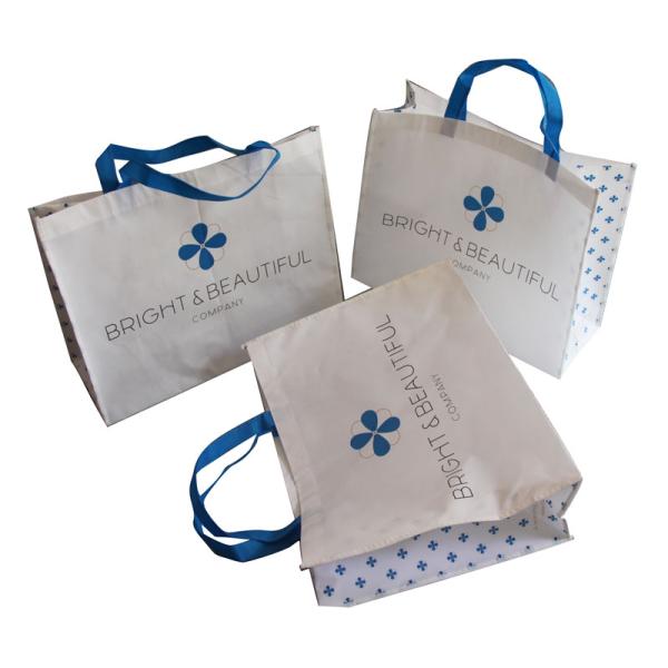 White and Blue 85gsm Nonwoven Fabric Carrier Bags With Matt Coated,White Piping,Button,Blue Handle Resable & Durable Bag