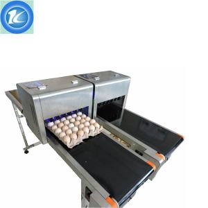 Advanced Design Automatic Batch Coding Machine Whole Tray Egg Inkjet Printer