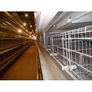 Poultry Cage Chicken Layer Chickens Cage For Farm Layer Chickens Battery Cages