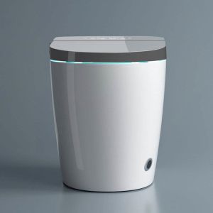 Tesia Modern Inodoro Ceramic Sensor Sanitary Ware Automatic Wc Floor Mounted