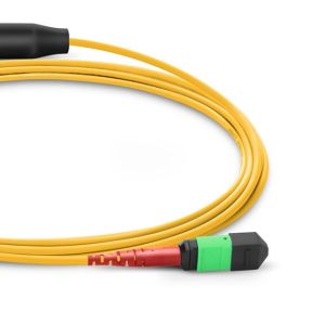 MTP / MPO To Dual MTP / MPO Female 24 Fiber OS2 Single Mode Conversion Harness