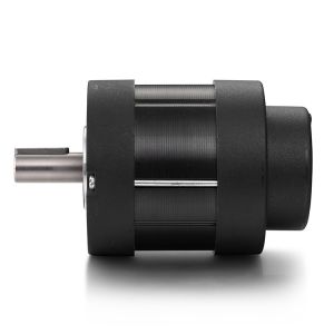 Faradyi Factory Direct Sales 18-80V Pw Motor Permanent Magnet Stepper Dc Motor