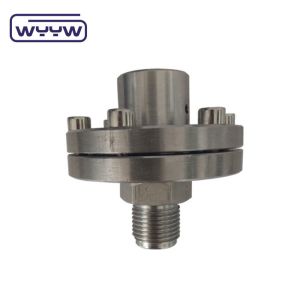 OEM ODM Diaphragm Pressure Gauge SS316 Coated PTFE High Pressure Gauge