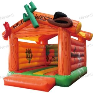 Colorful PVC Cartoon Character Inflatable Bouncer Jumping Bouncy Castle with