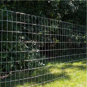 Hot Sale China Manufacture Quality 4 Gage 2x2 Galvanized Wire Mesh Rolls For