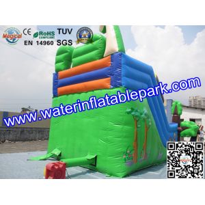 Custom Animal Inflatable Slide / Inflatable Dry Slide with Fire Resistant