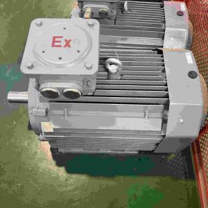 Constant Frequency Three Phase 30hp Electric Motor For Air Conditioner