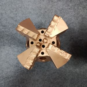 Wear Resistant Round Drag Drilling Tool With Customizable Height