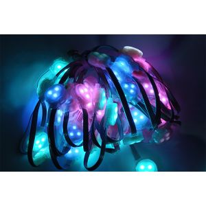 30mm 0.75W DC12V RGB LED Point Light Installation of Convenient with IP67