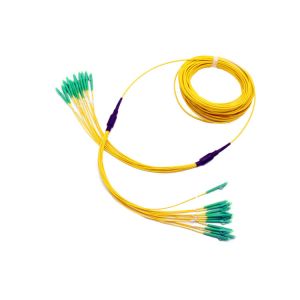 Cheap 12 Core Pre Terminated Multi Fiber Cables LC/APC To LC/APC 2.0mm Break Out Type for sale