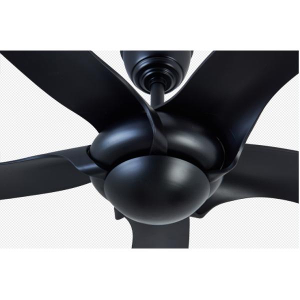 ECO 52 European Ceiling Fans With 5 ABS Blades Remote Control