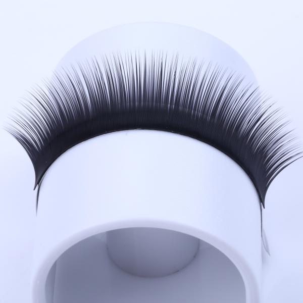 Blooming Lashes Camellia Eyelash Individual Extensions Synthetic Hair 0.07mm Thickness