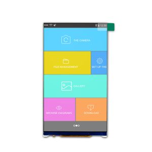 5'' 1080xRGBx1920 MIPI Interface IPS TFT LCD Display