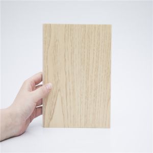 Wood-Plastic Composite Flooring Chevron SPC Plank Project Solution Capability