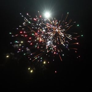 China China Pyrotechnics Outdoor Consumer Cake Fireworks 49 Shots on sale