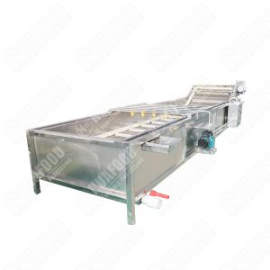 High-Accuracy Fruit Vegetable Washing And Drying Machine Smart