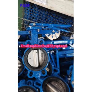 DIN cast iron wafer butterfly valve with pin