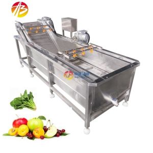 China 1000kg/h Capacity Bubble Washing Machine for Industrial Cleaning of Fruit Surface on sale