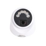 C2240TQ-10D Dome Camera Wide Angle Function NVR Data Storage For Enhanced