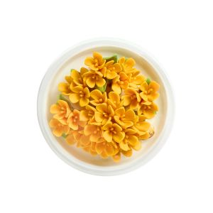 Ceramic Candle Holders / Birthday Candle Holders With Customizable Colors And