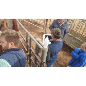 Pet Animal Veterinary Ultrasound Machine Convex Probe 10.4in Led Screen