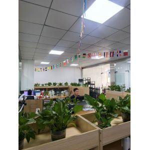 Shenzhen Googol Display Technology Co., Ltd